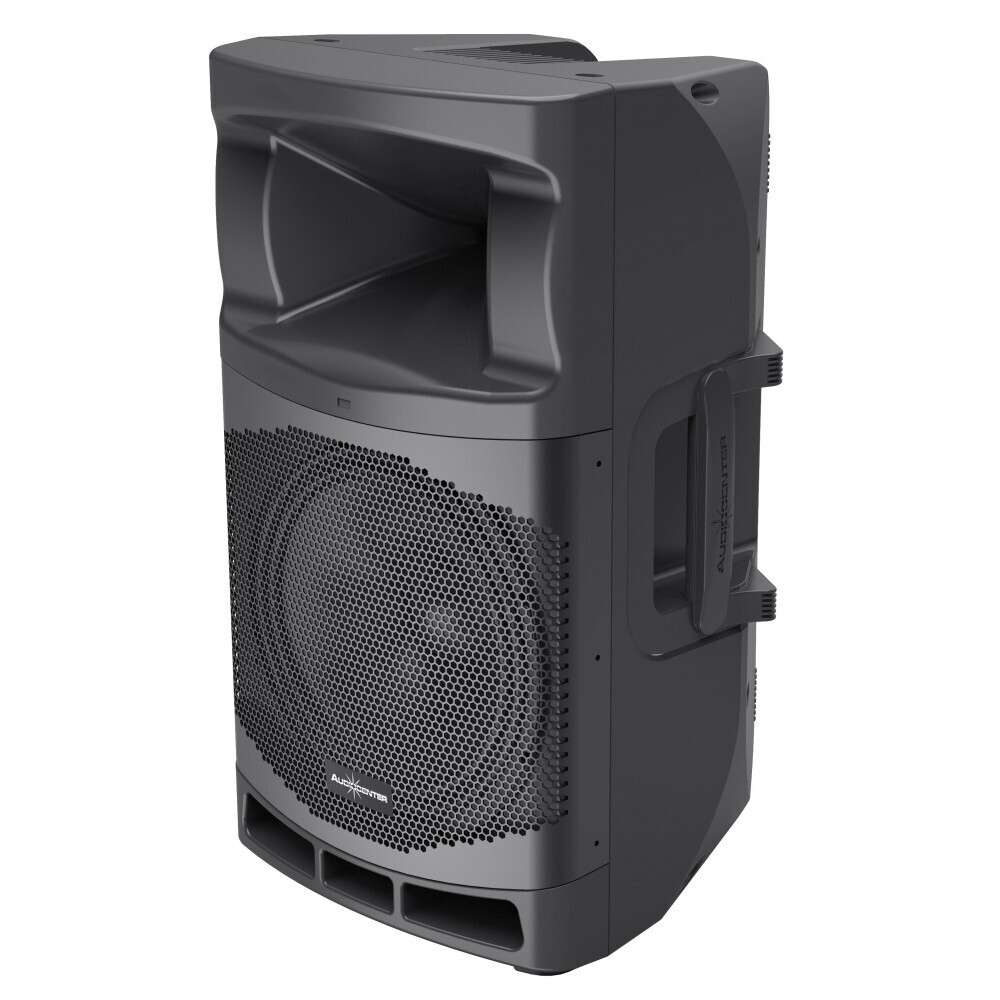 Audiocenter MA12 активная акустическая система в Шарыпово