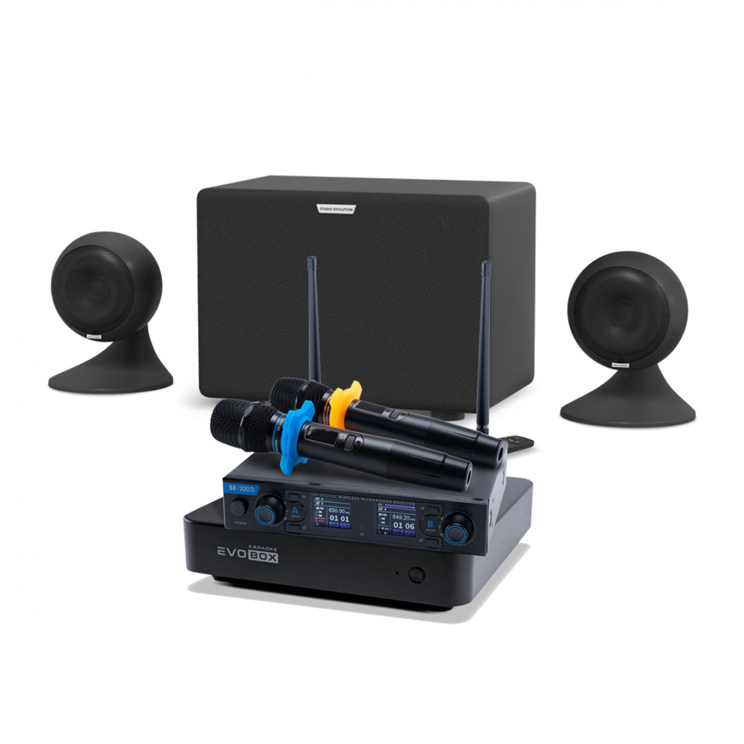 караоке-комплект EVOBOX + EvoSound Sphere 2.1 в Шарыпово