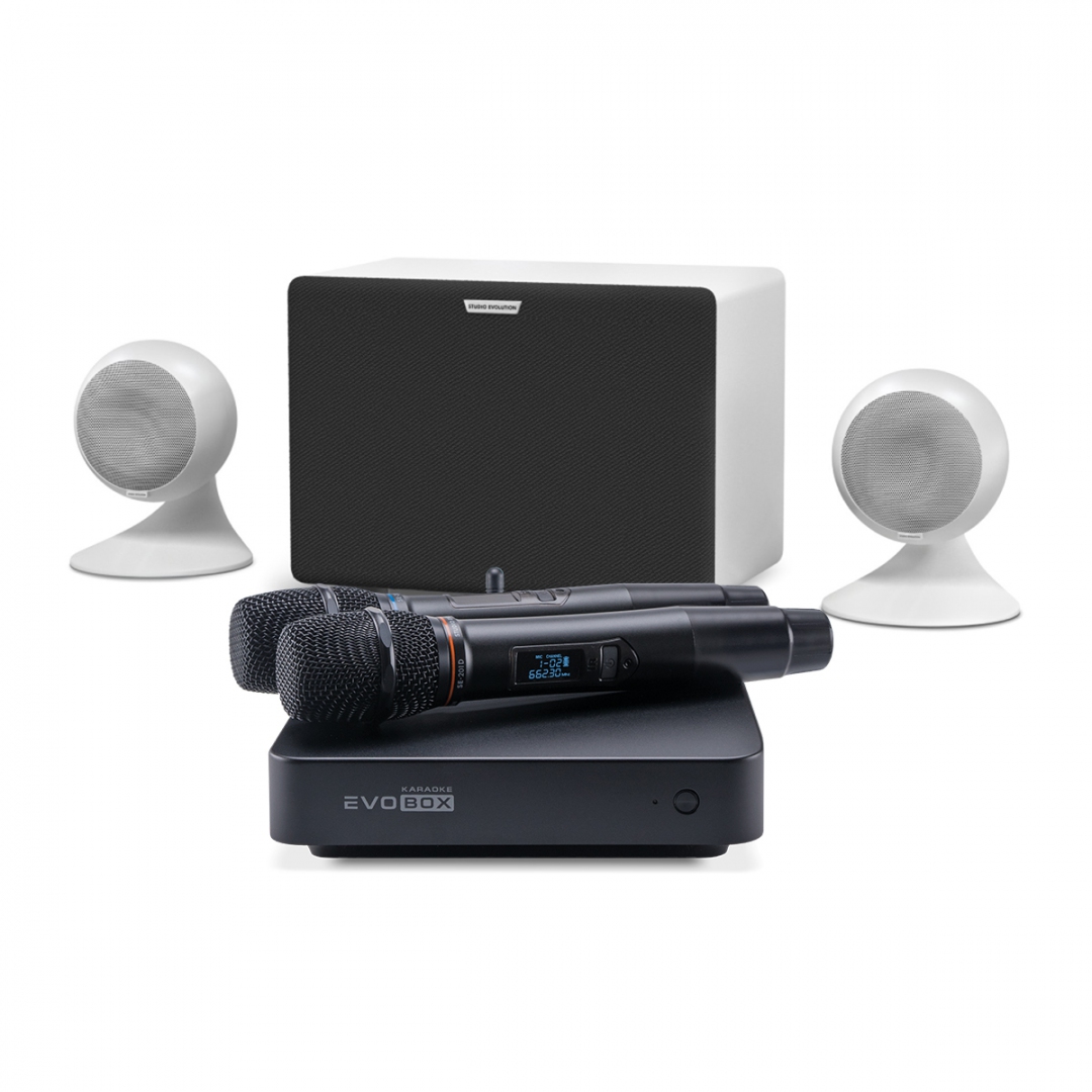 караоке-комплект EVOBOX Classic + EvoSound Sphere 2.1 в Шарыпово