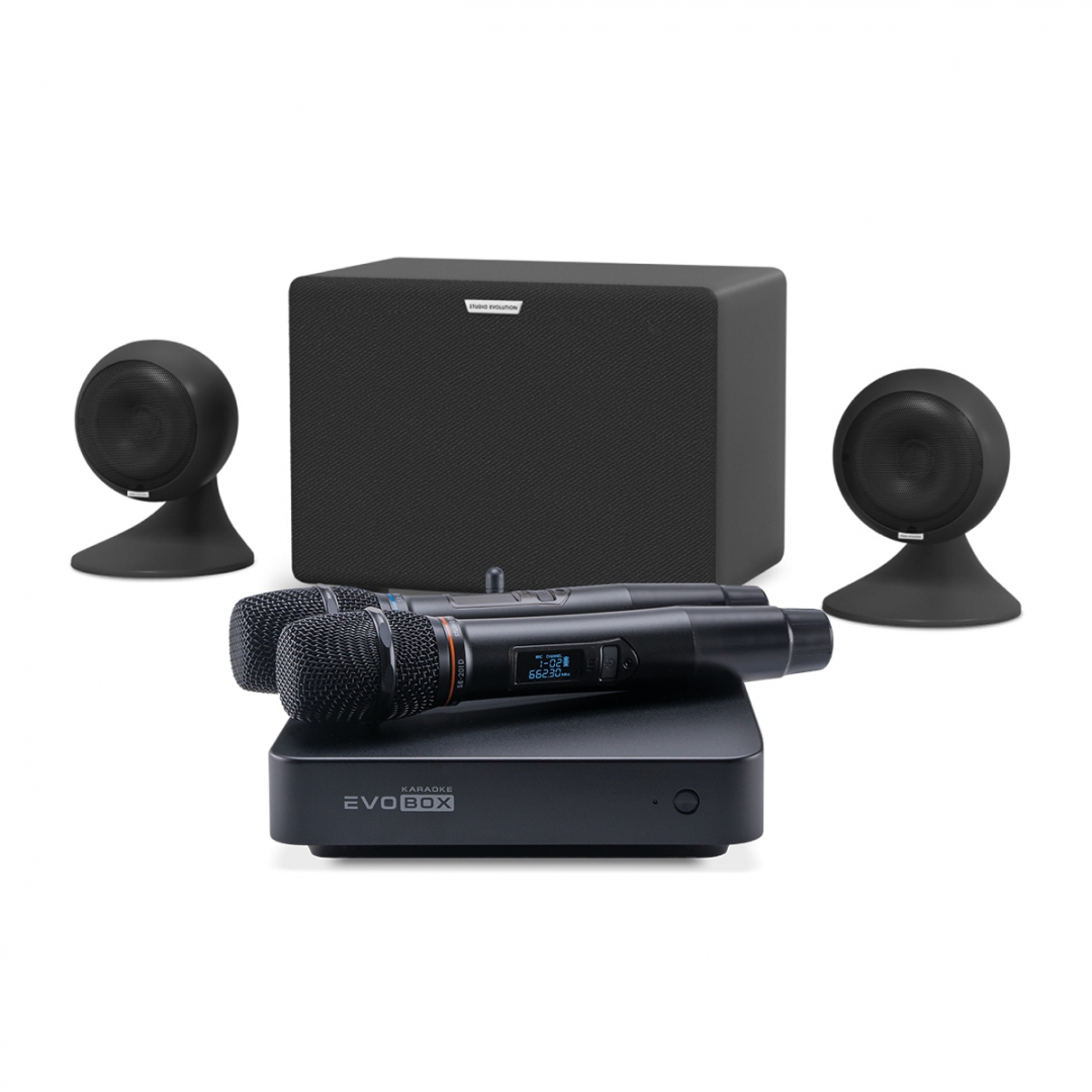 караоке-комплект EVOBOX Plus + EvoSound Sphere 2.1 в Шарыпово
