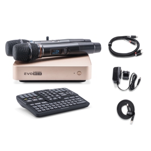 EVOBOX Classic караоке-система для дома в Шарыпово