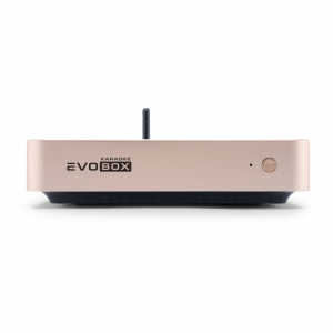 EVOBOX Plus караоке-система для дома в Шарыпово